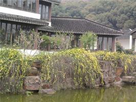Nuodeng Bai Village